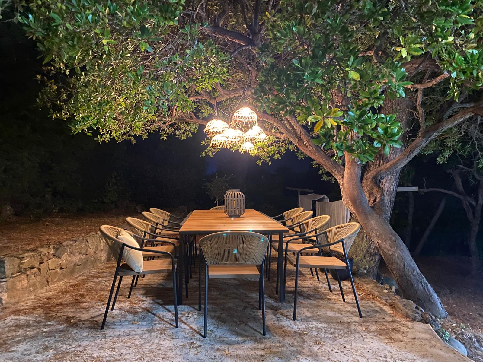 Al fresco dining under the olive tree at Villa Ricolette