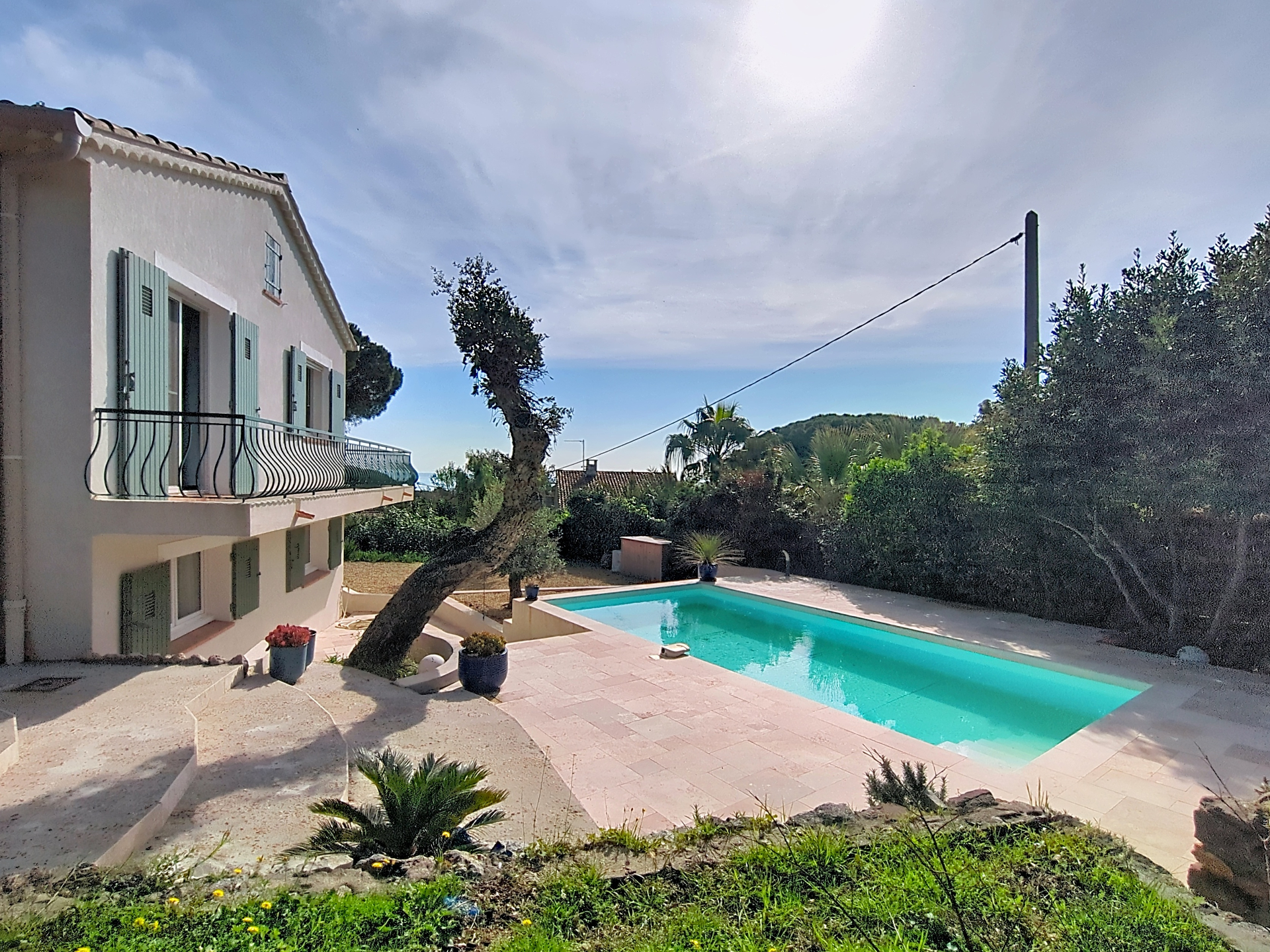 The pool